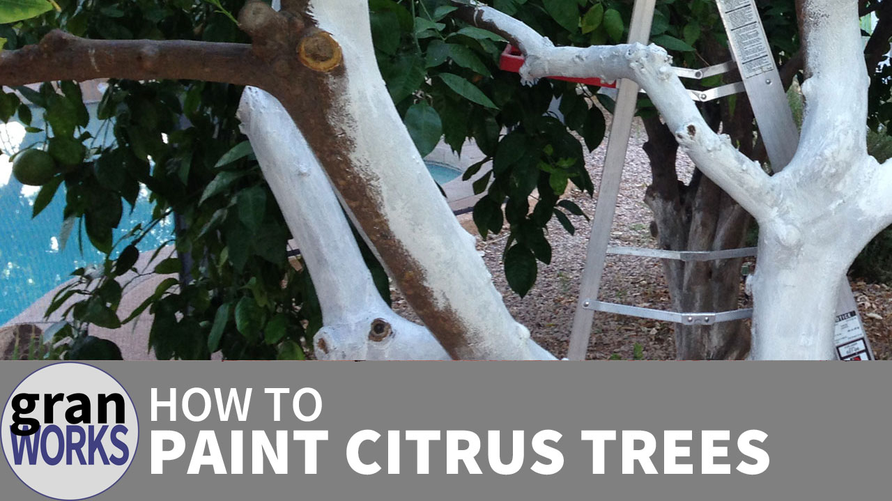 How To Paint Citrus Trees